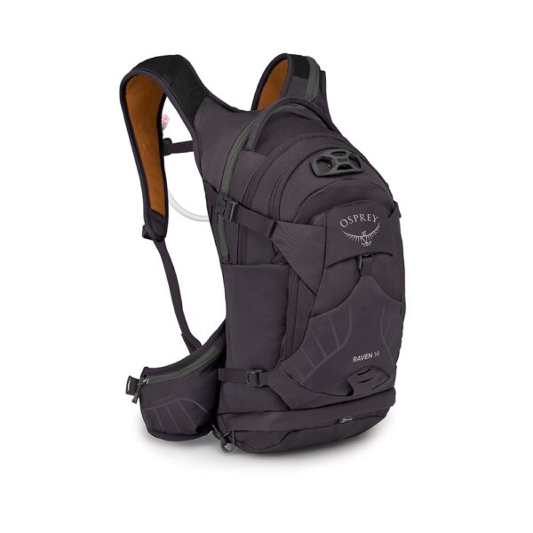 Osprey Raven 14 (Space Travel Grey
