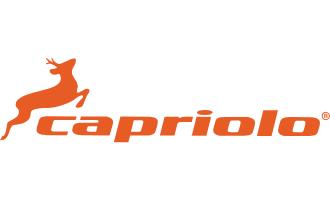 Capriolo Fitness