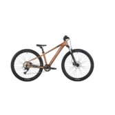 Bicikl Scott Roxter 600
