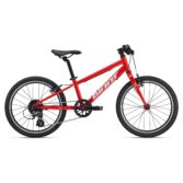 Bicikl Giant ARX 20 Phoenix Fire
