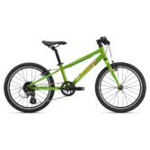 Bicikl Giant ARX 20 Metallic Green