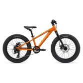 Bicikl Giant STP 20 Sandstorm