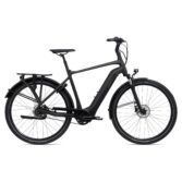 Bicikl GIANT DailyTour E+ 2 BD GTS D 25km/h Panther