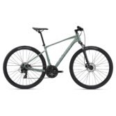 Bicikl Giant Roam 4 Disc Misty Forest