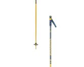 Rossignol Ski štapovi Stove Hero Grip Teal/Mustard - Slika 2