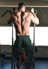 Sprava Toorx Chin/Dip/Leg raise WBX 2800 - Slika 2