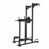 Sprava Toorx Chin/Dip/Leg raise WBX 2800