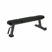 Sprava Toorx Flat bench WBX 2000