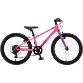 Bicikl POLAR FUZZY 20 Violet Pink